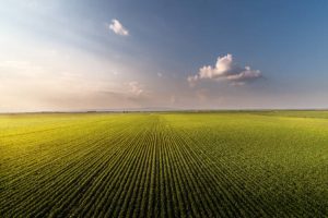 Read more about the article Kadastrol Yol ve Emlak İşlemleri: Toprağın Yolculuğu