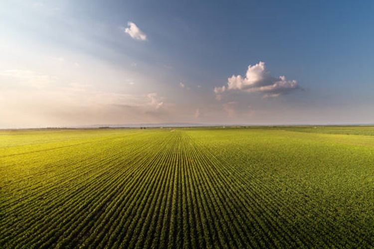 Read more about the article Kadastrol Yol ve Emlak İşlemleri: Toprağın Yolculuğu